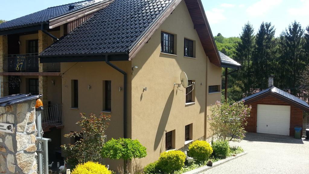 Hotel Willa Solina Solina  Exterior foto